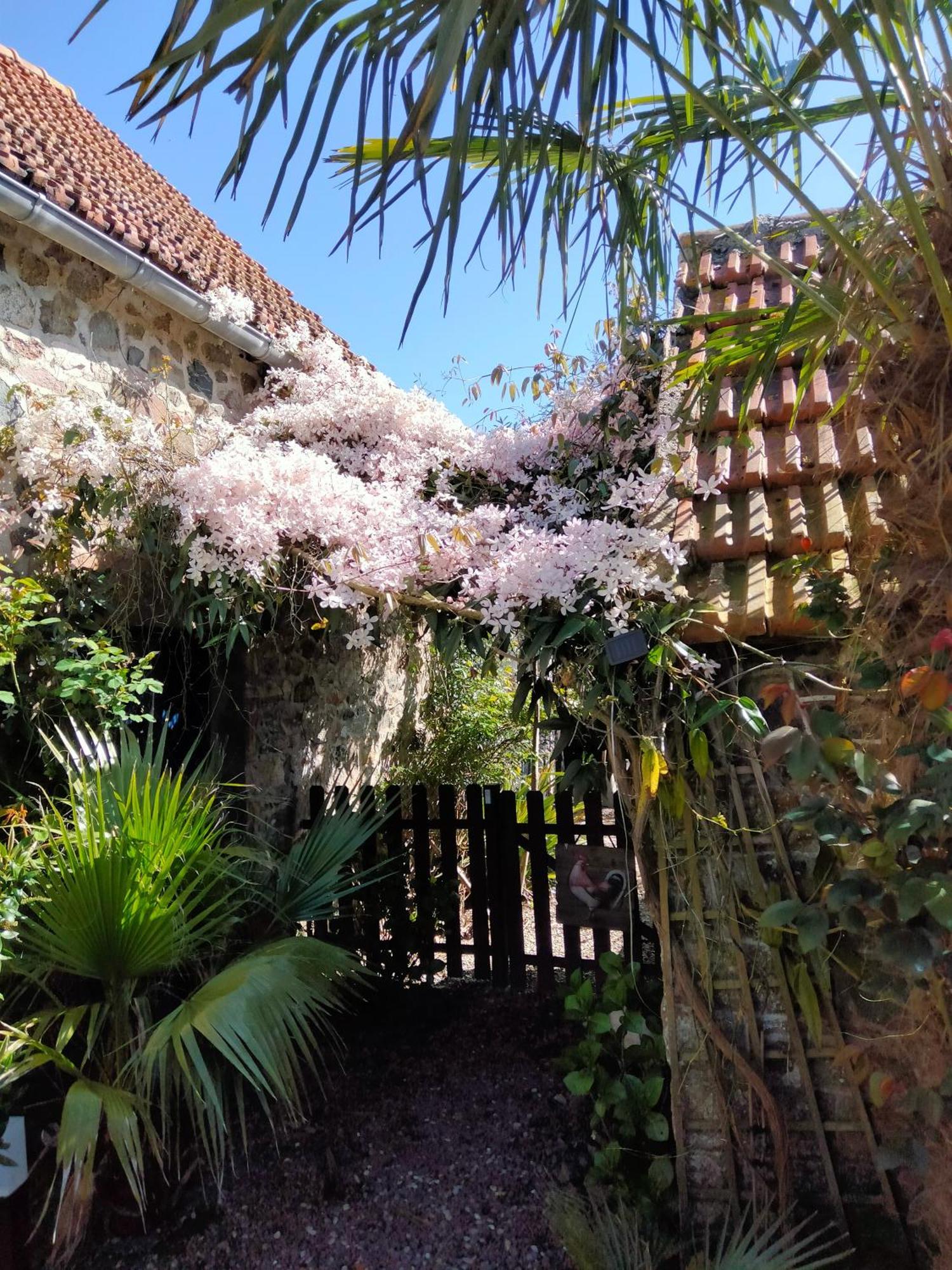 Les Deux Moulins Apartment Saint-Alban  Екстериор снимка